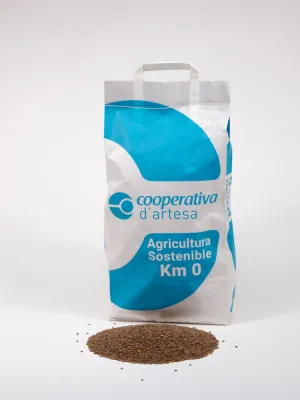 Llentia pardina Km 0 Cooperativa Artesa de Segre