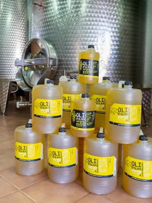 Lot 2 garrafes Oli Verge Extra Agro Igualada 5l