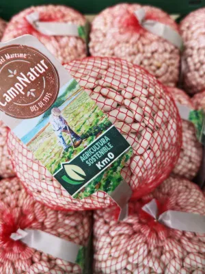 Mongeta del Ganxet Cooperativa Progrés Garbí