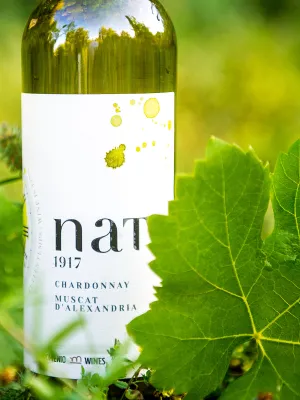 Vi blanc Nat 1917 Chardonnay Muscat d'Alexandria Domenio Wines