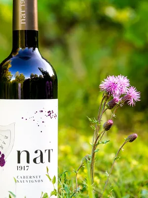 Vi negre Nat 1917 Cabernet Sauvignon Domenio Wines