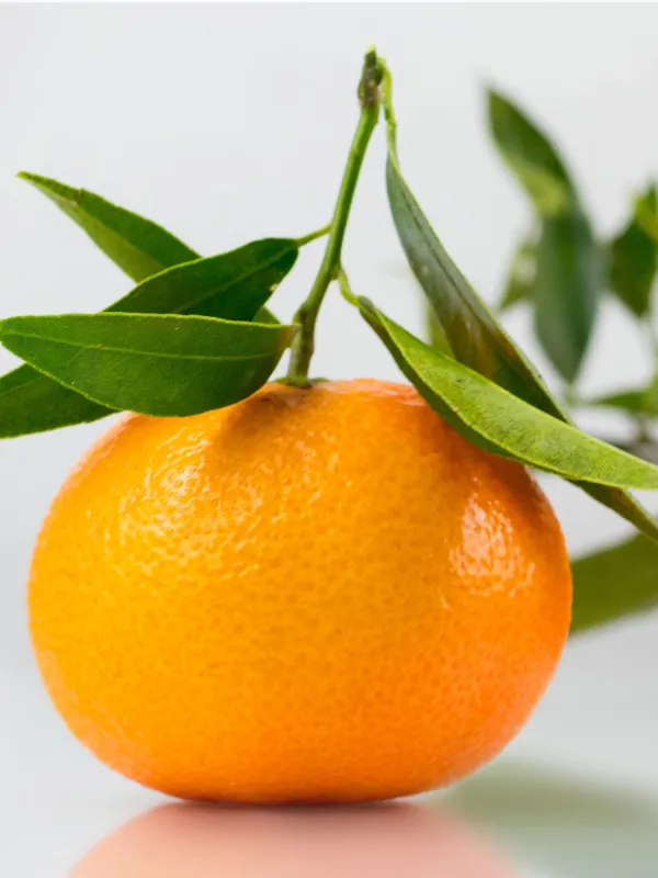 Producte Mandarines Clementines Sol d'Ebre Imatge
