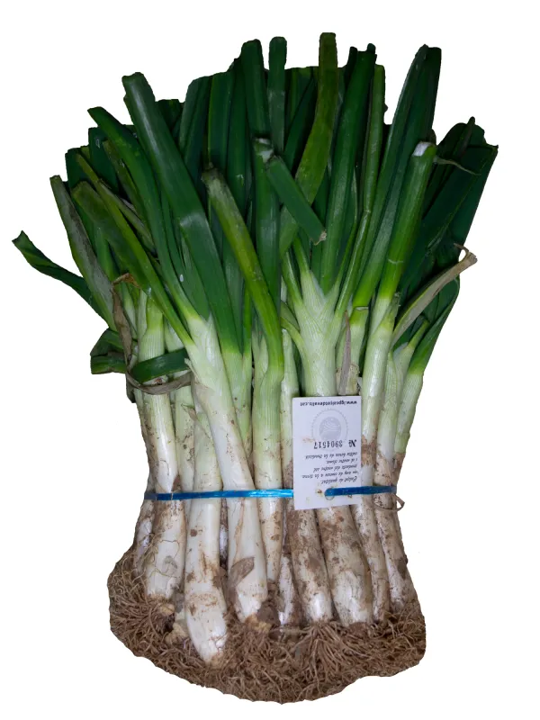 Producte Calçots crus de Valls Imatge